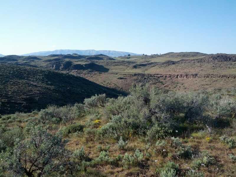 A panoramic view of rolling hills and sagebrush in a mountainous landscape under a clear blue sky. The foreground features various plant life, while the distant mountains provide a scenic backdrop. Cowiche Canyon mountain bike trail.
