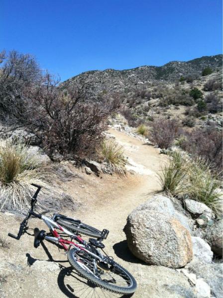 A mountain bike lying on a dirt trail surrounded by rocky terrain and sparse vegetation, with hills in the background under a clear blue sky. South Foothills mountain bike trail.