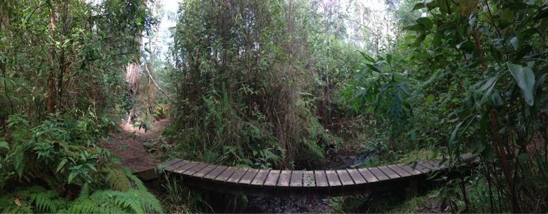A serene forest scene featuring a wooden footbridge over a small stream, surrounded by lush greenery and dense foliage. The area is tranquil and inviting, suggesting a peaceful natural retreat. Buxton MTB Park mountain bike trail.