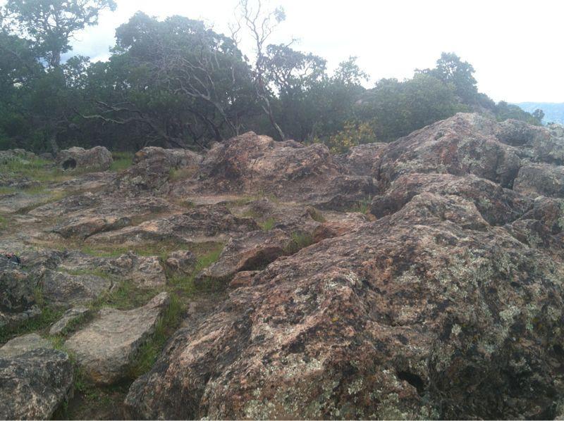 Rocky terrain with large boulders and sparse vegetation under a cloudy sky. Rockville Park mountain bike trail.