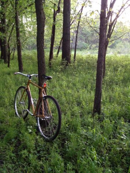 A wooden bicycle resting against a tree in a lush, green forest during the golden hour, surrounded by tall grass and trees. The Center Trails mountain bike trail.