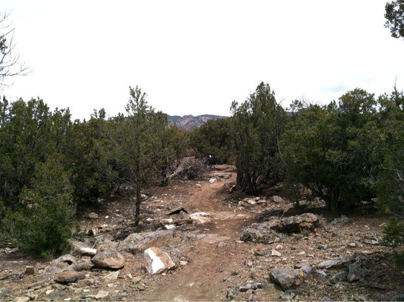 A winding dirt path leading through a rugged landscape with sparse vegetation and scattered rocks, bordered by shrubs and small trees, under a cloudy sky. In the distance, mountains can be seen. Oil Well Flats mountain bike trail.