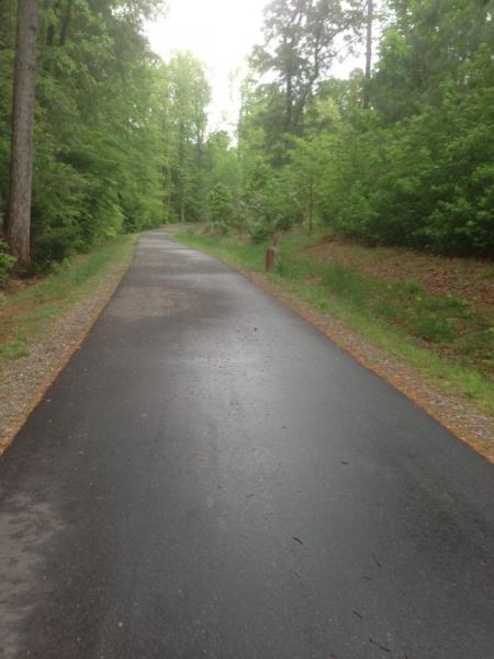 A tranquil, winding pathway through a lush green forest, lined with trees on both sides. The asphalt path appears slightly wet, suggesting recent rain, and is bordered by patches of grass and foliage. Neuse River Trail mountain bike trail.
