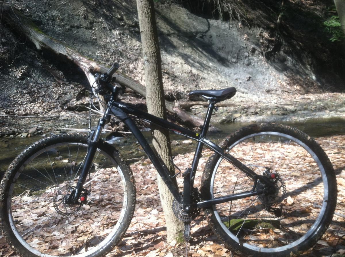Specialized Hardrock Sport Disc 29er: A black mountain bike leaning against a tree in a wooded area, with a small stream and rocky terrain in the background. Leaves cover the ground, indicating a natural outdoor setting. The bike has visible mud on the tires, suggesting recent use on a trail.