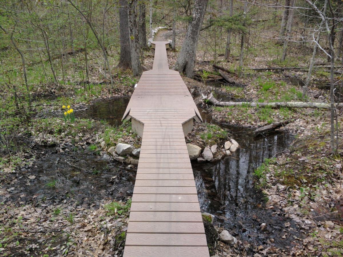 A wooden boardwalk spanning a small creek in a forest setting, surrounded by green grass and scattered leaves. Yellow flowers bloom on one side of the creek, while trees and brush create a natural backdrop. Pine Hill Park mountain bike trail.