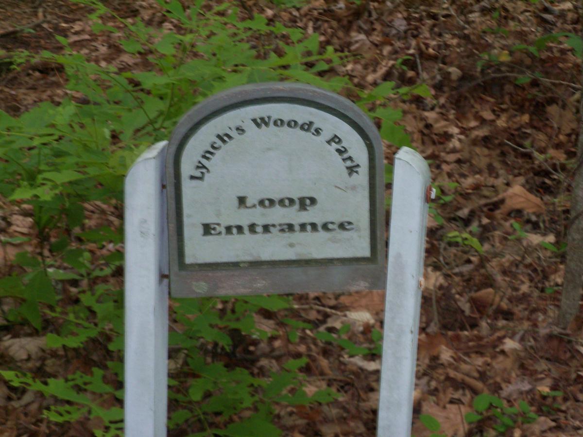 Sign marking the entrance to the Loop trail at Lynch's Woods Park, surrounded by greenery and fallen leaves. Lynches Woods mountain bike trail.