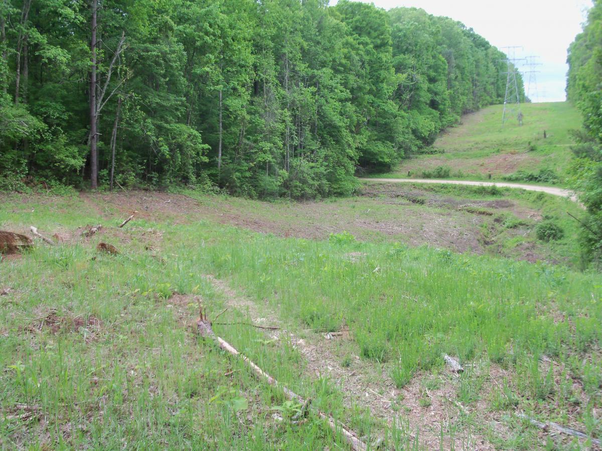 A grassy clearing bordered by dense green trees, with a dirt road winding through the landscape. Stumps and scattered branches are visible in the foreground, indicating recent tree removal. Power lines run along the edge of the trees in the background. Lynches Woods mountain bike trail.