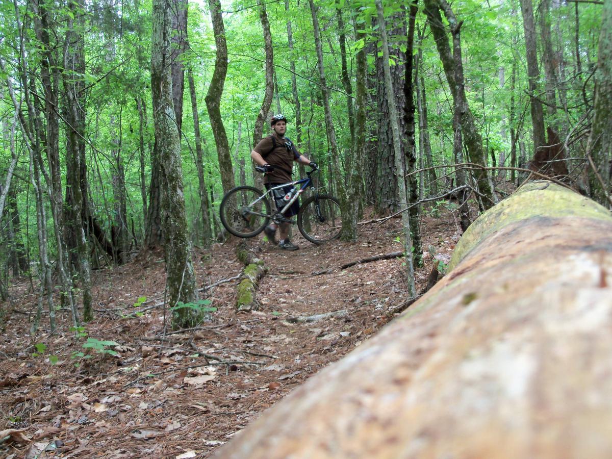 A person standing next to a mountain bike on a narrow dirt trail, surrounded by lush green trees and foliage in a wooded area. A fallen log is visible in the foreground. Lynches Woods mountain bike trail.