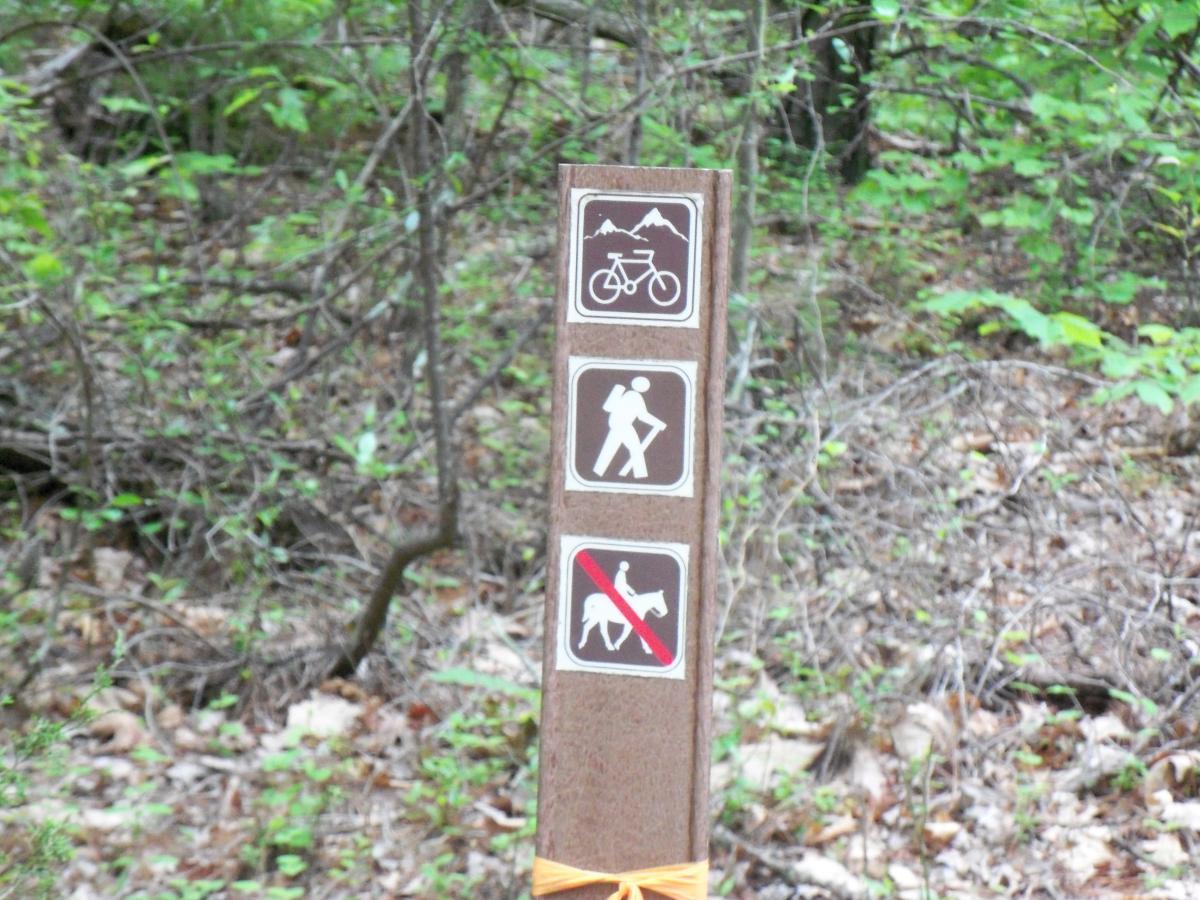 A trail sign in a wooded area, featuring icons that indicate permitted activities: biking, hiking, and a prohibition against dogs. The background consists of lush greenery and forest floor debris. Lynches Woods mountain bike trail.