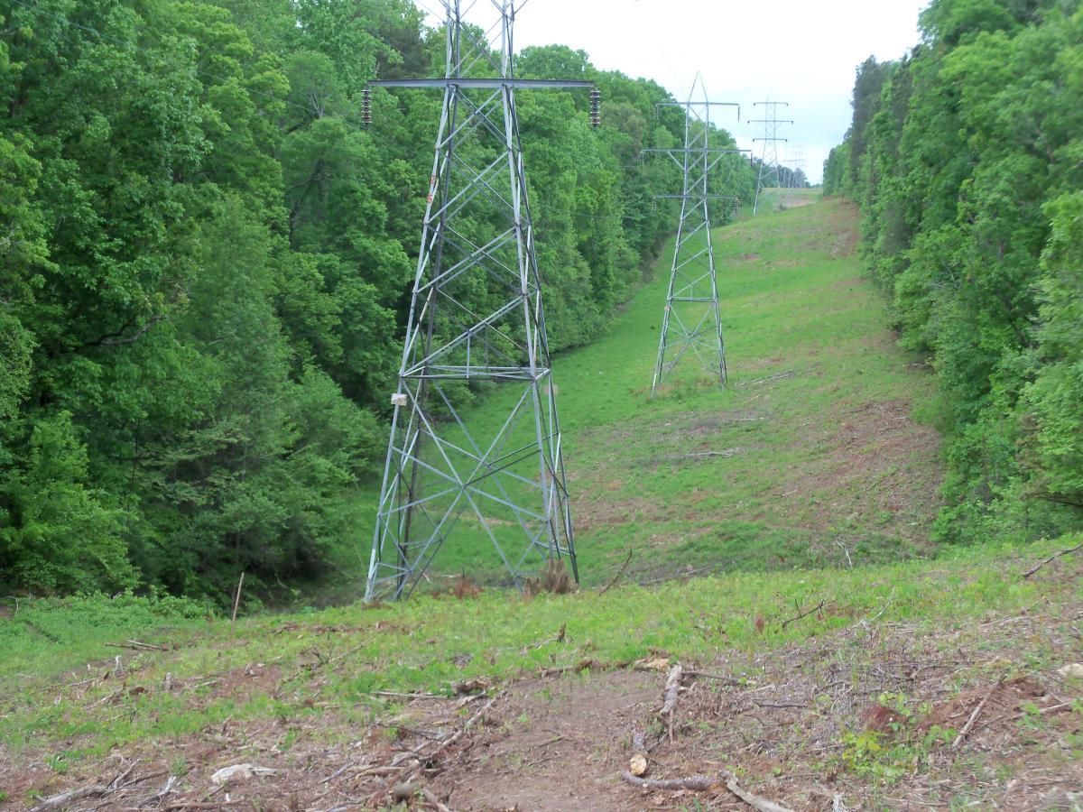 A green landscape featuring power lines running through a cleared corridor, bordered by dense trees on both sides. The ground is covered with grass and scattered tree debris. The scene is lush and vibrant, indicating a spring or summer setting. Lynches Woods mountain bike trail.