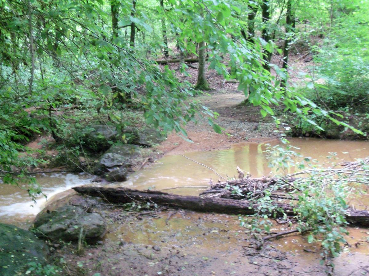 A serene forest scene featuring a gently flowing stream surrounded by lush green foliage. Large rocks are visible along the bank, and a fallen log rests partially in the water. The ground shows a mix of dirt and gravel, with trees creating a natural canopy overhead. Buncombe - Brickhouse Recreation Area mountain bike trail.
