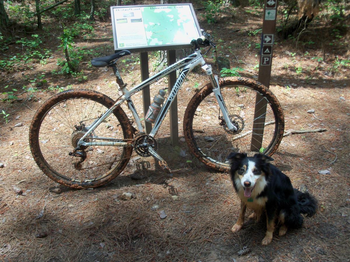 A mountain bike covered in mud is parked beside a trail sign in a forested area. A happy black and brown dog sits in front of the bike, with greenery and pine needles visible on the ground in the background. Buncombe - Brickhouse Recreation Area mountain bike trail.