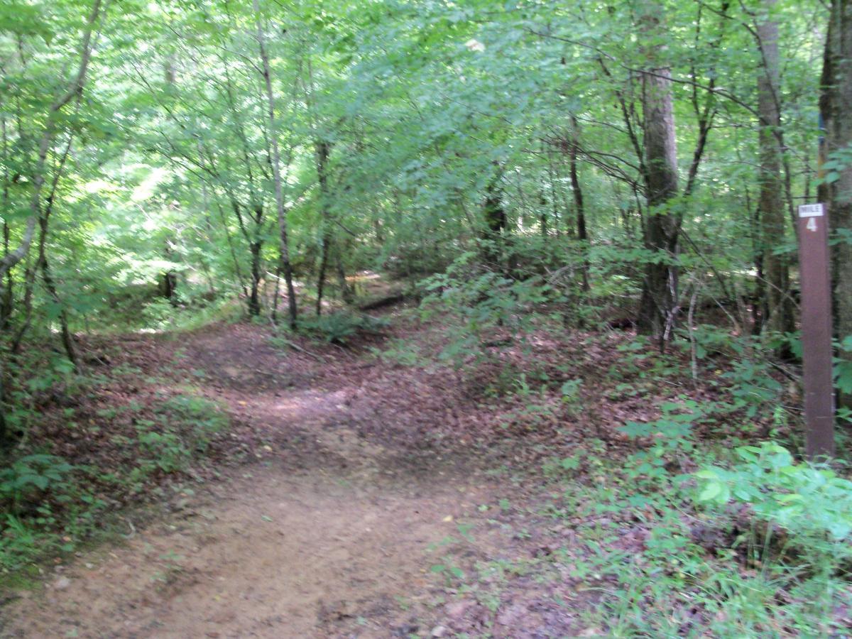 A peaceful forest scene featuring a dirt path weaving through a lush green area with trees and foliage. A trail marker indicating "Mile 4" is visible on the right side, surrounded by dense vegetation and fallen leaves. Buncombe - Brickhouse Recreation Area mountain bike trail.
