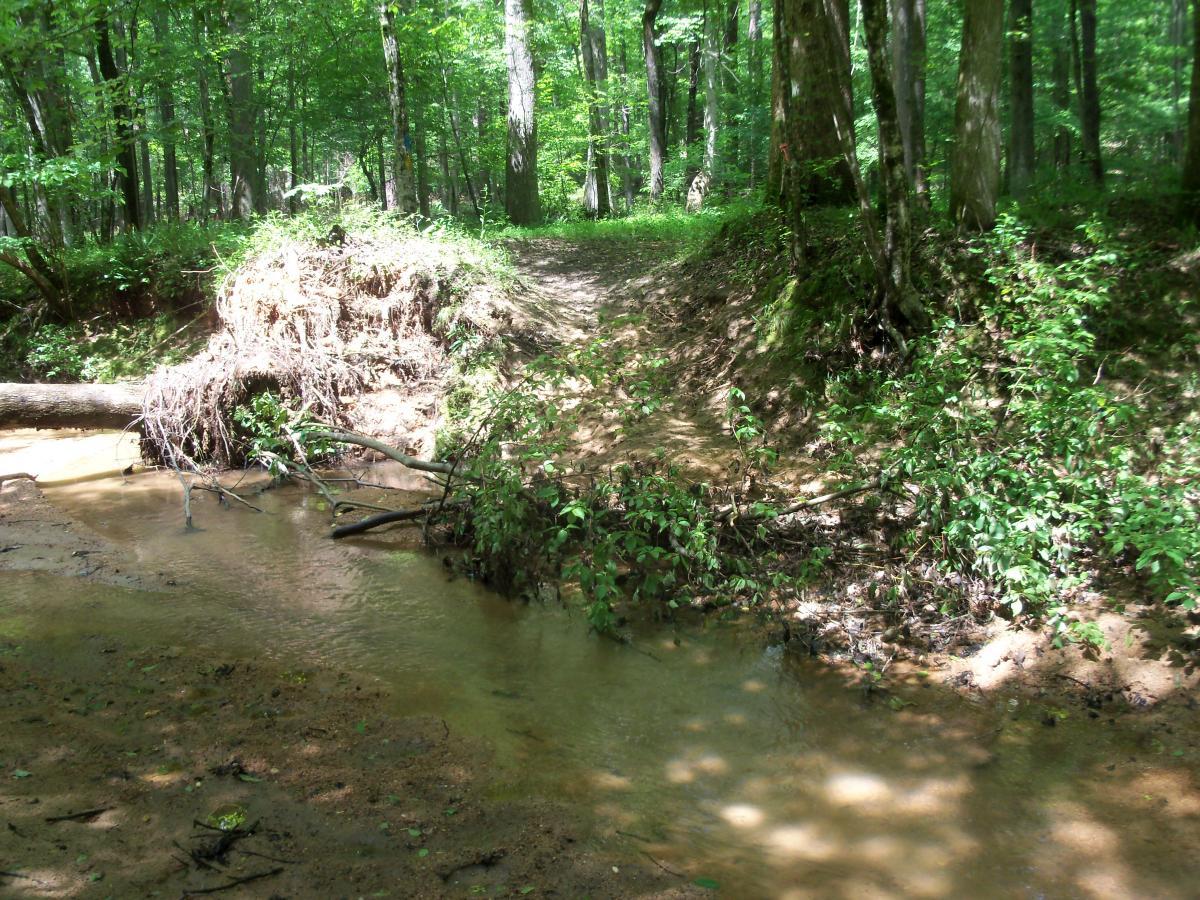 A serene forest scene featuring a small creek flowing through a lush, green landscape. The area is surrounded by trees, and a partially eroded bank with roots and branches visible on one side of the creek. Sunlight filters through the leaves, creating dappled shadows on the ground. A narrow path runs along the edge of the creek, leading into the woods. Buncombe - Brickhouse Recreation Area mountain bike trail.