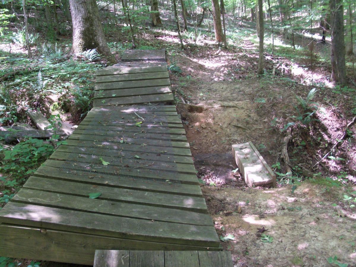 A wooden footbridge extending over a small ravine, surrounded by lush green foliage in a forested area. The bridge is slightly elevated, showing a path on one side leading into the woods. Sunlight filters through the trees, creating dappled lighting on the ground. Wine Creek mountain bike trail.