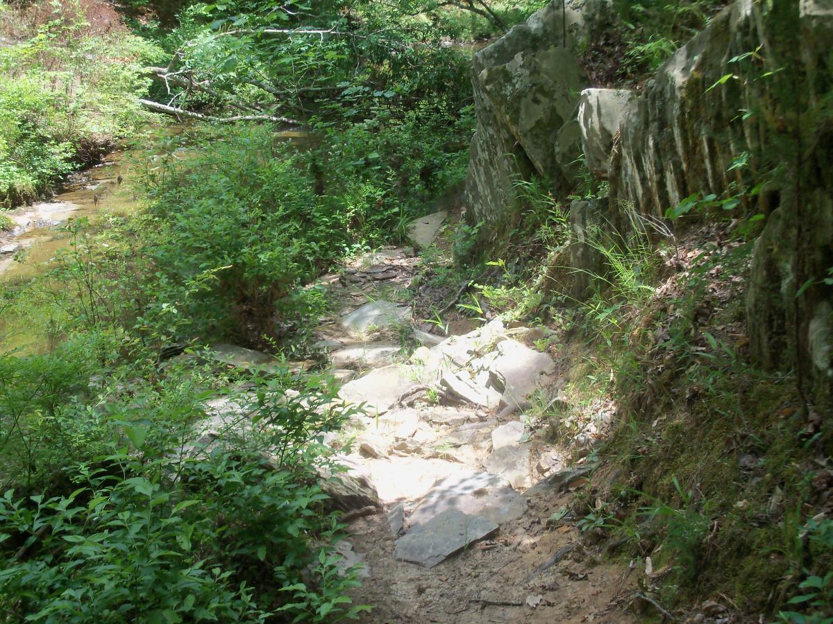A narrow, rocky path lined with greenery, leading beside a small stream in a forest. Sunlight filters through the trees, illuminating patches of ground along the trail. Wine Creek mountain bike trail.
