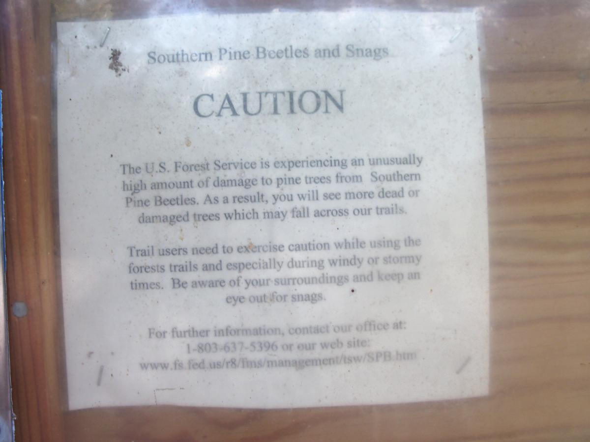 Sign warning about Southern Pine Beetles and potential hazards from damaged trees. It advises trail users to exercise caution when using forest trails, especially during windy or stormy conditions, and encourages awareness of surroundings due to the risk of falling trees. Includes contact information for the U.S. Forest Service. Wine Creek mountain bike trail.