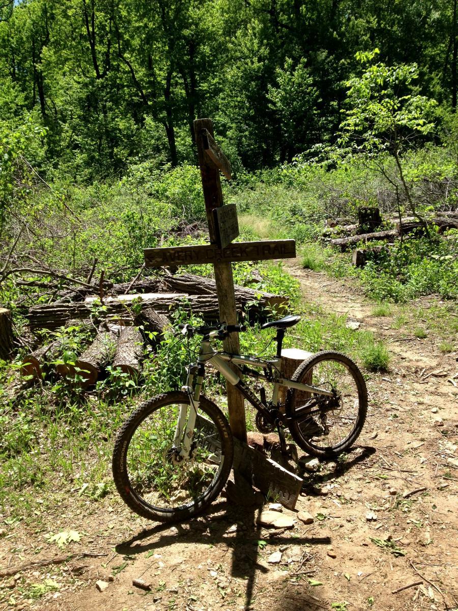 A mountain bike leaning against a wooden signpost at a trailhead in a lush green forest. The sign indicates the path for the "Penny Creek Trail." Surrounding vegetation includes young leaves and fallen logs, with sunlight filtering through the trees. Avery Creek / 327 mountain bike trail.