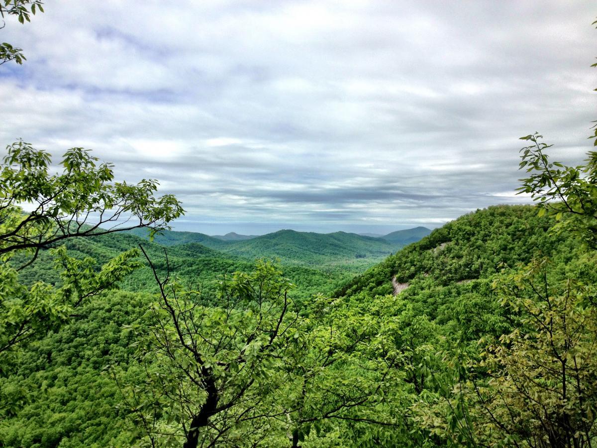 A panoramic view of lush green mountains under a cloudy sky, framed by tree branches in the foreground. The landscape features rolling hills and valleys, creating a serene natural scene. Pilot Cove Trail mountain bike trail.