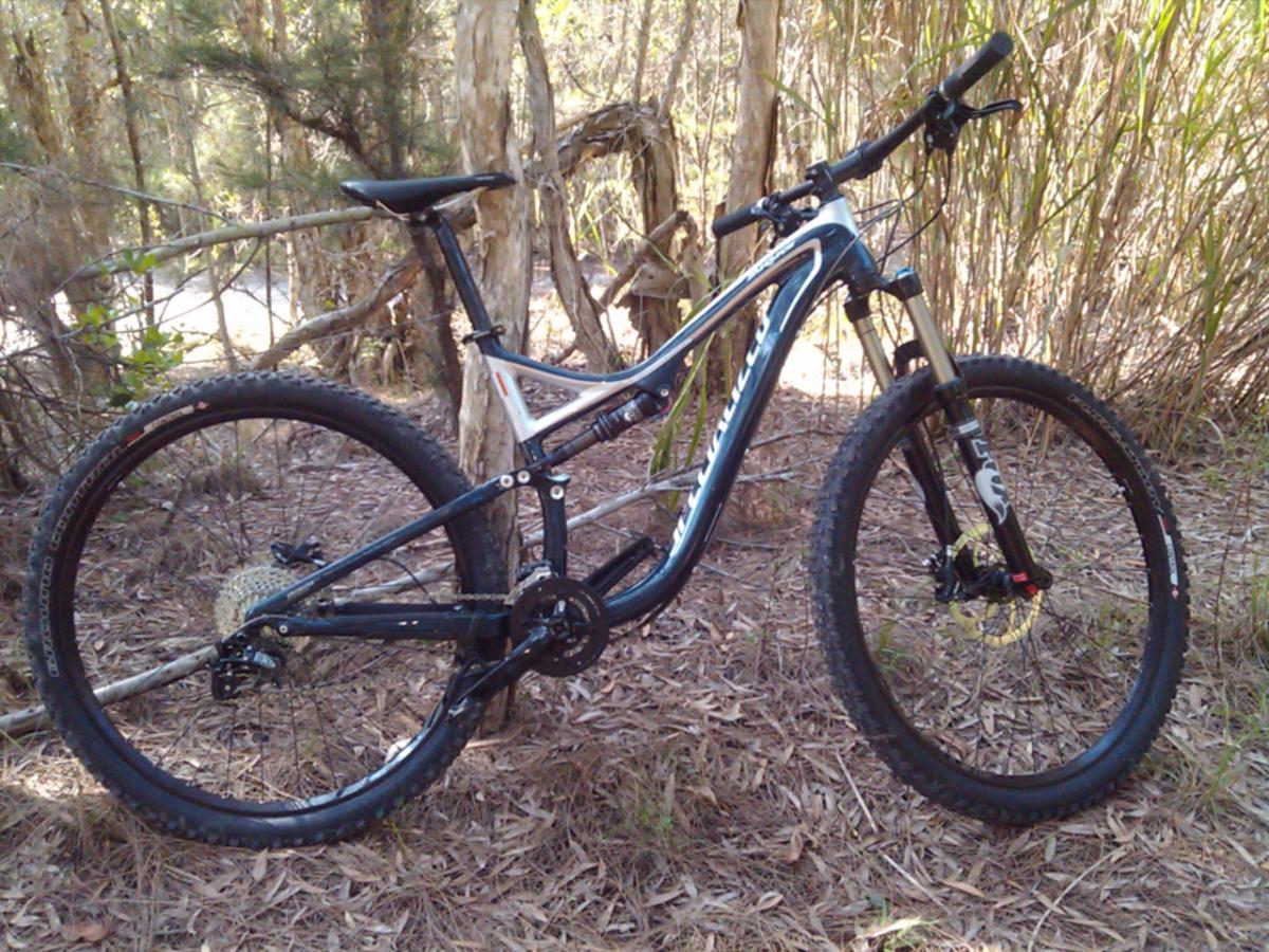Specialized Stumpjumper FSR Comp 29: A mountain bike is leaning against a tree in a wooded area. The bike features a black and white frame, thick tires, and a suspension system, surrounded by foliage and sunlight filtering through the trees.