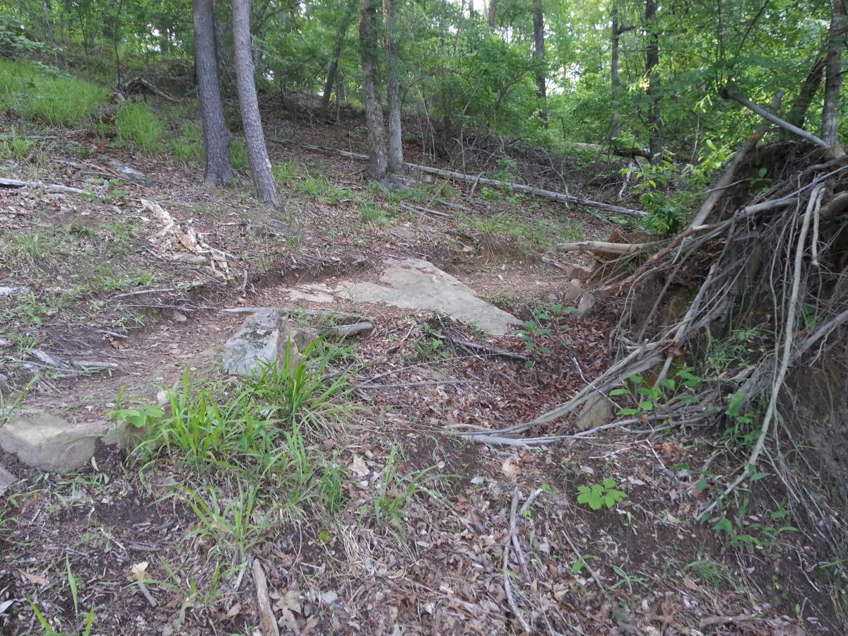 A wooded area with a small, rocky path. The ground is covered in leaves and scattered rocks, with patches of green grass and plants. Tall trees line the background, creating a natural setting. Tannehill Historic Ironworks State Park mountain bike trail.