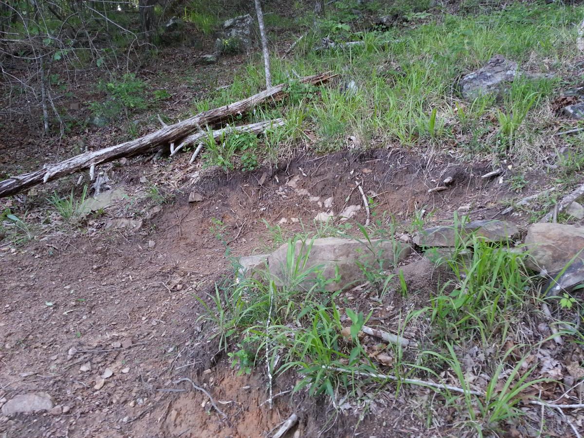A small, uneven patch of bare soil surrounded by patches of grass and scattered rocks, located in a wooded area. There are fallen branches and debris visible on the ground, indicating a natural setting with tree cover. Tannehill Historic Ironworks State Park mountain bike trail.