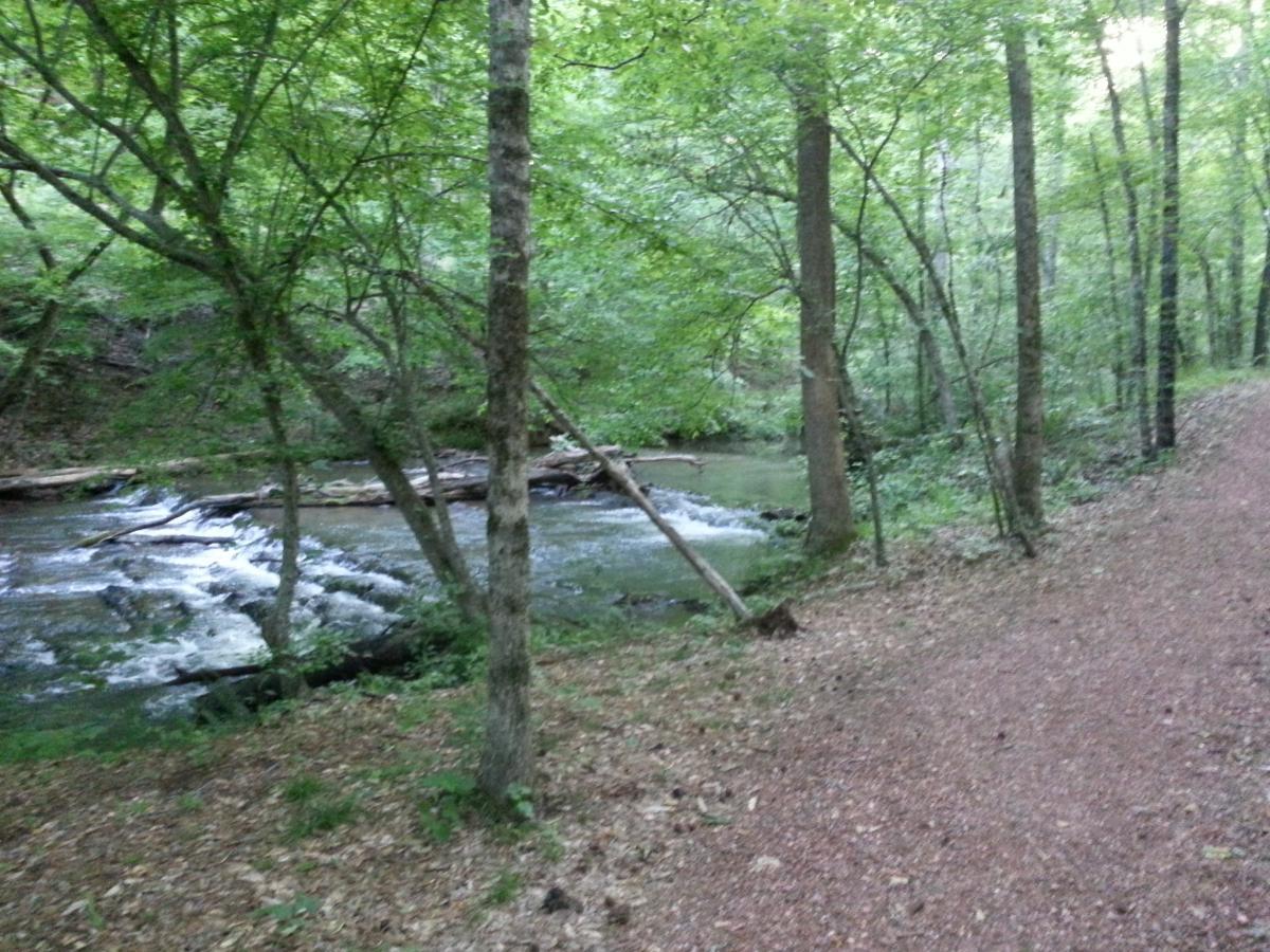 A peaceful forest scene with a clear, gently flowing stream on the left side. The area is surrounded by lush green trees and foliage, with a gravel path winding along the right side. Sunlight filters through the leaves, creating a serene and tranquil atmosphere. Tannehill Historic Ironworks State Park mountain bike trail.