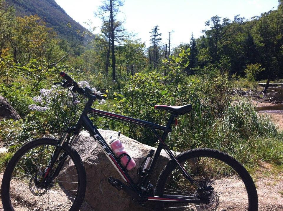 GT Aggressor: A mountain bike resting on a large rock, surrounded by lush greenery and trees, with a clear blue sky above. Wildflowers are present in the foreground, creating a scenic outdoor atmosphere.