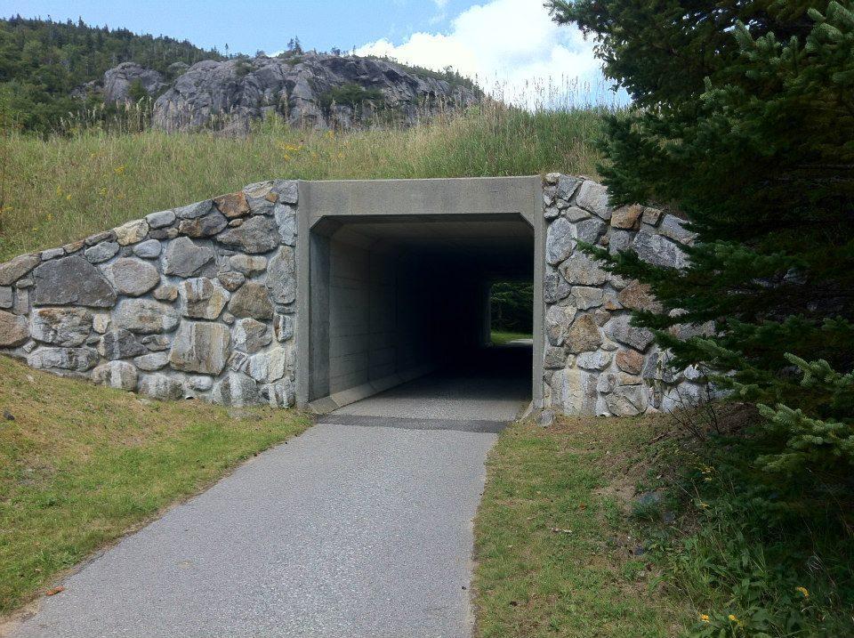 A stone and concrete tunnel entrance set in a grassy area, leading into a dark passageway. Lush greenery and a rocky hillside are visible in the background under a partly cloudy sky. A paved path approaches the tunnel. Franconia Recreational Trail mountain bike trail.