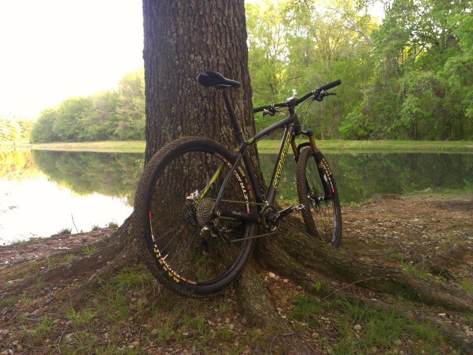 Santa Cruz Highball C: A mountain bike leaning against a large tree, with a serene lake and lush greenery in the background. The scene is bathed in natural light, highlighting the bike's sleek design and vibrant colors.