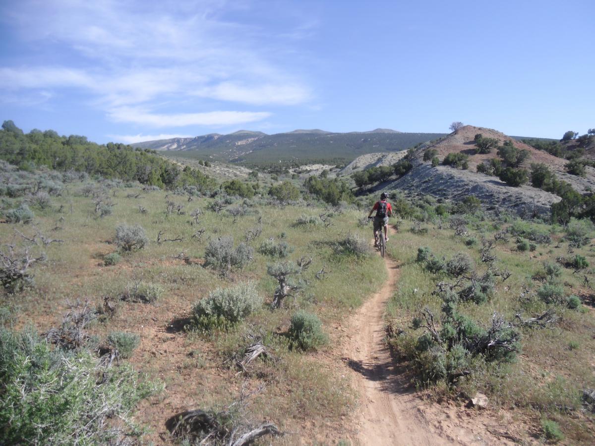 A person riding a mountain bike on a dirt trail surrounded by lush green vegetation and rolling hills under a clear blue sky. J-Boy mountain bike trail.
