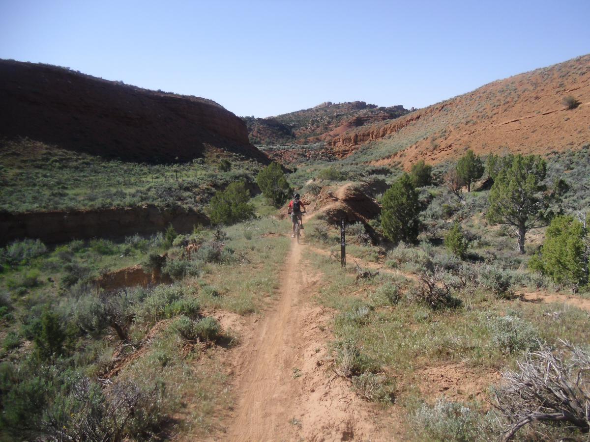 A person walking along a dirt trail surrounded by green shrubs and trees, with rocky hills in the background under a clear blue sky. Jazz Chrome Molly mountain bike trail.
