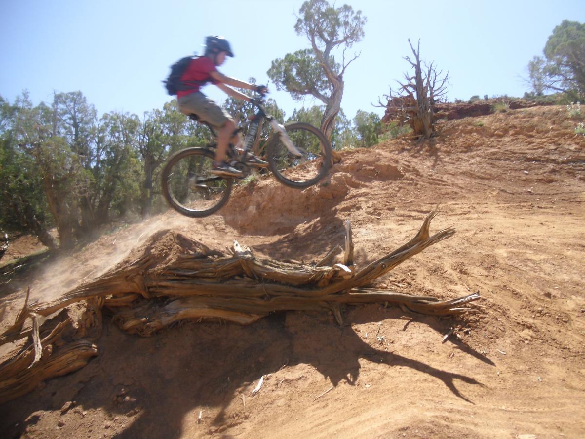 A mountain biker in a red shirt and helmet jumps off a dirt ramp, with dust trailing behind the bicycle. The background features trees and rocky terrain under a bright blue sky. Jazz Chrome Molly mountain bike trail.