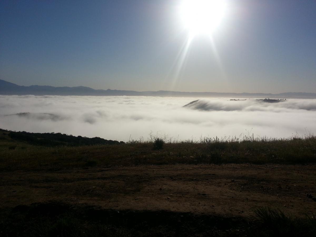 A scenic landscape featuring a vast expanse of fog covering rolling hills, with a bright sun shining in a clear blue sky. The foreground includes a patch of grassy terrain, while distant mountains are visible along the horizon. Aliso and Wood Canyons Wilderness Park mountain bike trail.