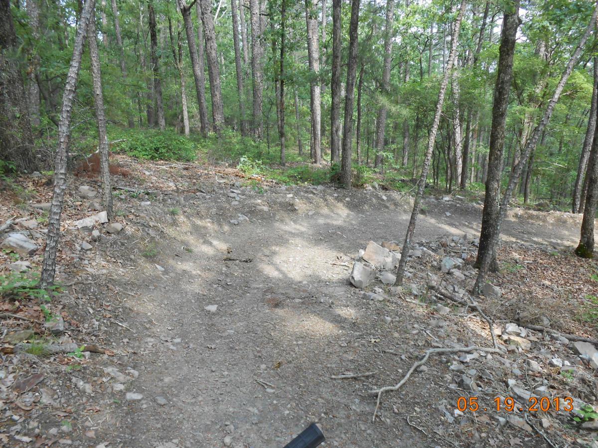 A dirt path winding through a forested area filled with green trees and scattered rocks. Sunlight filters through the leaves, casting dappled shadows on the ground. The scene appears tranquil and natural, ideal for hiking or exploring. Iron Mountain mountain bike trail.