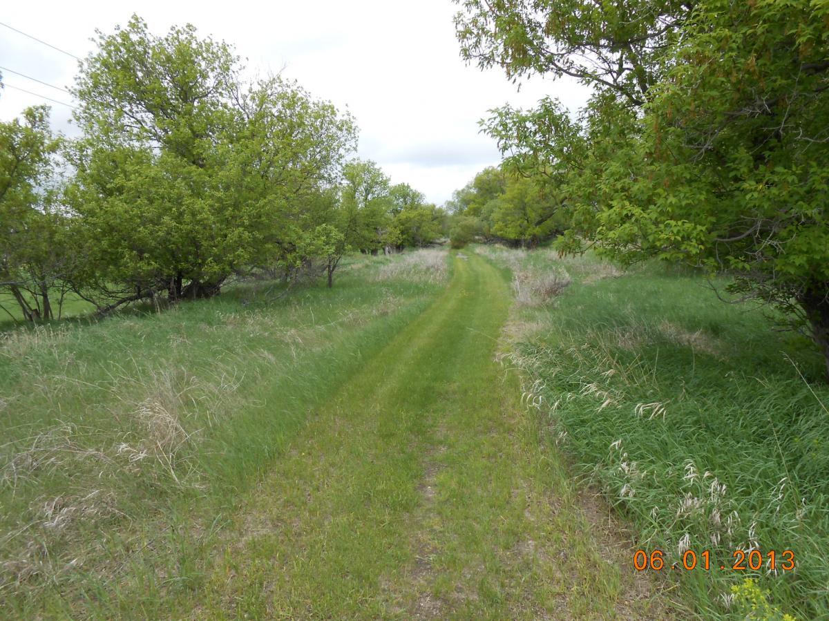 A grassy pathway winding through a lush green landscape, bordered by trees and patches of wild grass under a cloudy sky. White Cloud Nature Trail mountain bike trail.