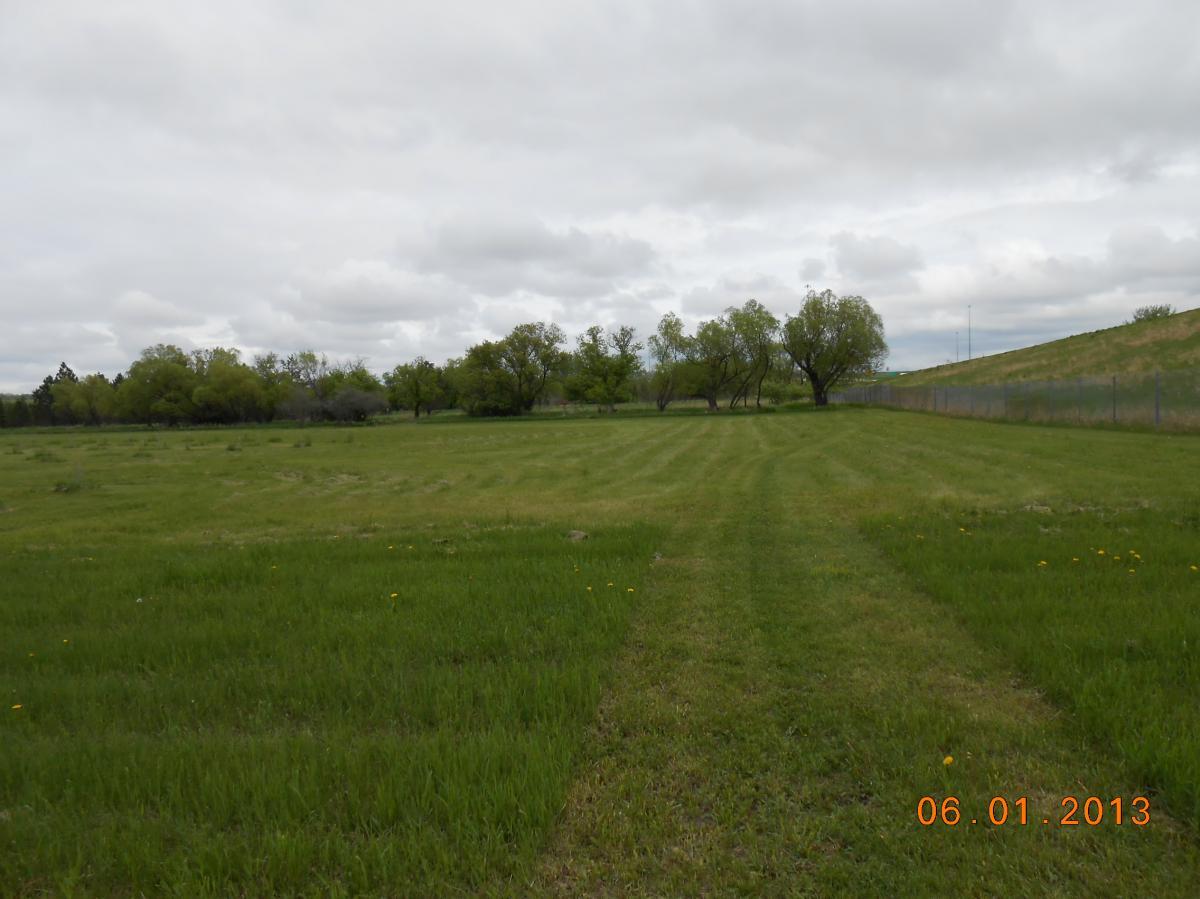 A wide view of a grassy field under a cloudy sky, bordered by trees on one side and a slope on the other. The ground is lush and green, with some areas mowed in straight lines, and a few dandelions scattered throughout. The date at the bottom indicates June 1, 2013. White Cloud Nature Trail mountain bike trail.