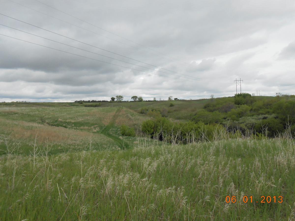 A scenic view of rolling hills covered in green grass, with patches of taller grass. The sky is overcast with gray clouds, and power lines stretch across the image. A winding dirt path leads through the landscape, surrounded by trees in the distance. The photo captures a tranquil rural setting. Pipestem Trail mountain bike trail.