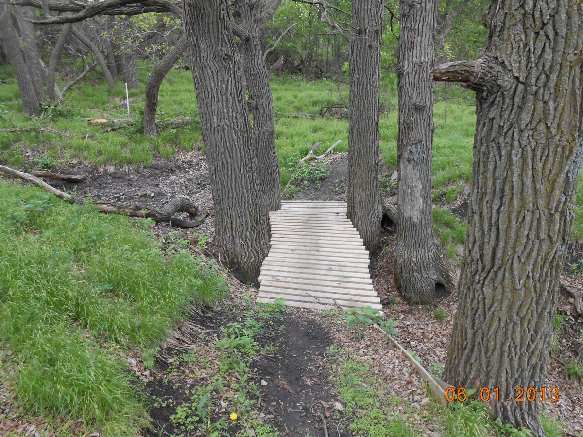 A wooden footbridge spanning a small path through a forested area, flanked by two large trees. The ground is covered with lush green grass and scattered leaves, indicating a natural setting in spring or early summer. Pipestem Trail mountain bike trail.