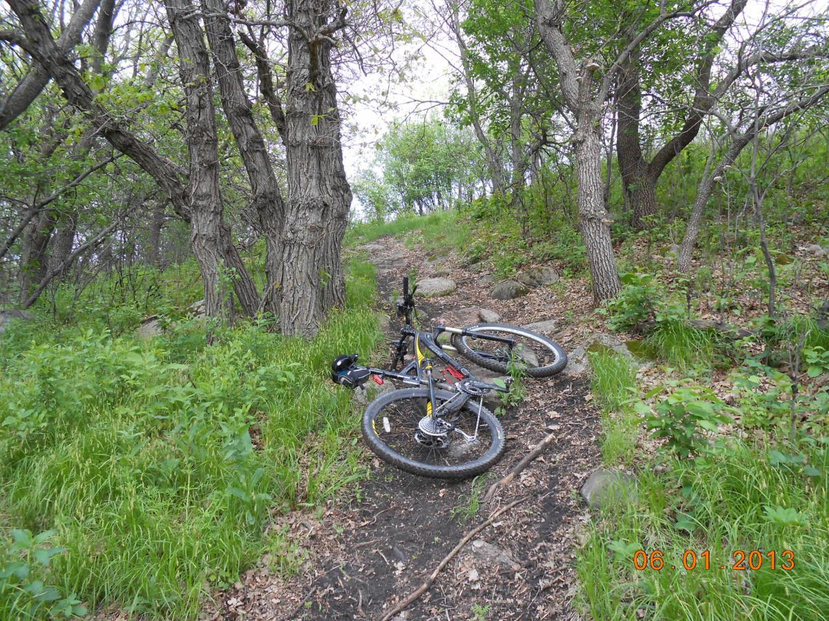 A mountain bike lying on a dirt trail surrounded by greenery and trees. The path is slightly hilly and rocky, with patches of grass and small plants growing alongside. Pipestem Trail mountain bike trail.