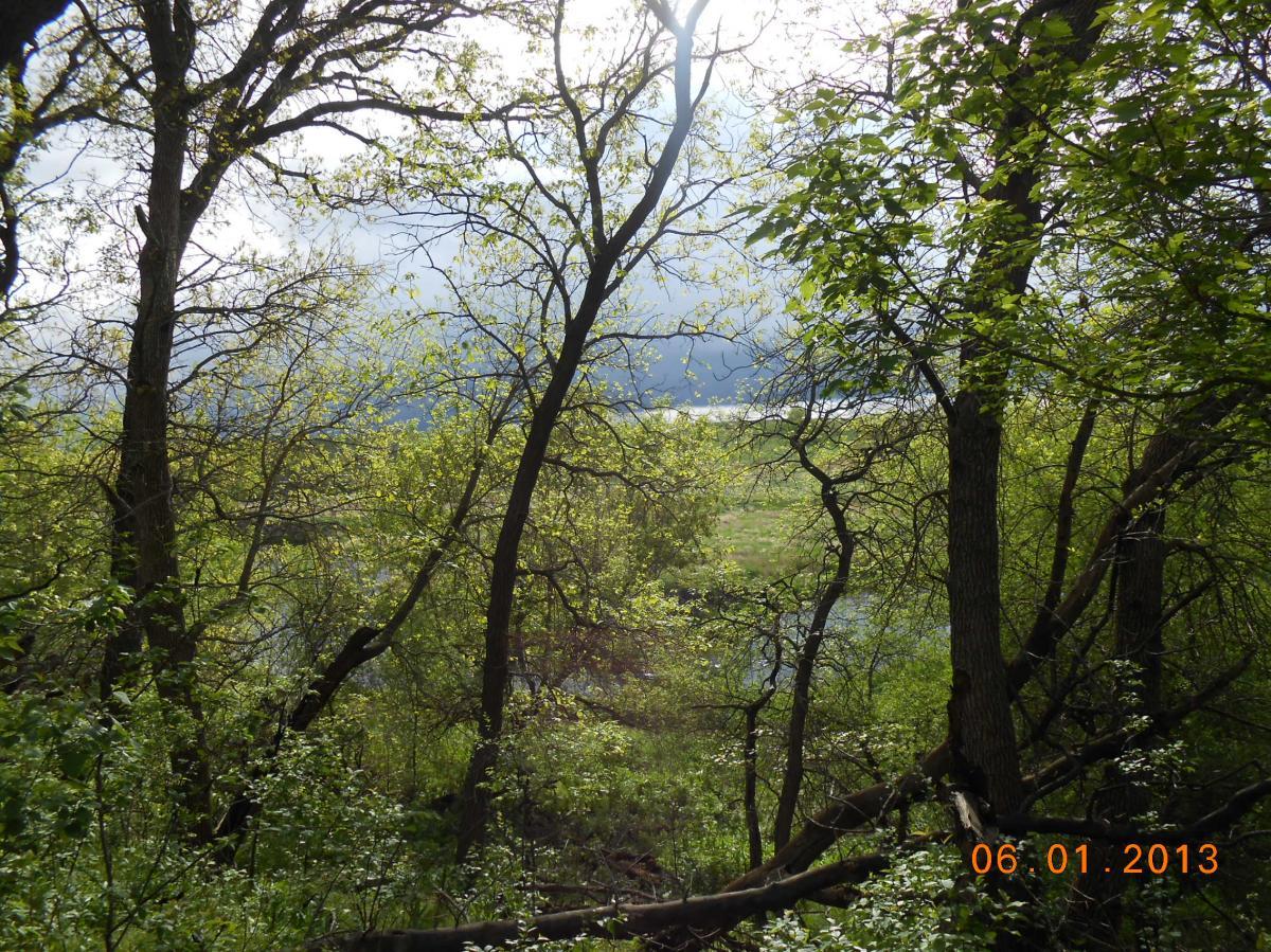Lush green trees frame a serene landscape, with sunlight filtering through the leaves. In the distance, a tranquil body of water is visible beneath a partly cloudy sky. The scene captures the beauty of nature, with vibrant foliage and a peaceful atmosphere. Pipestem Trail mountain bike trail.