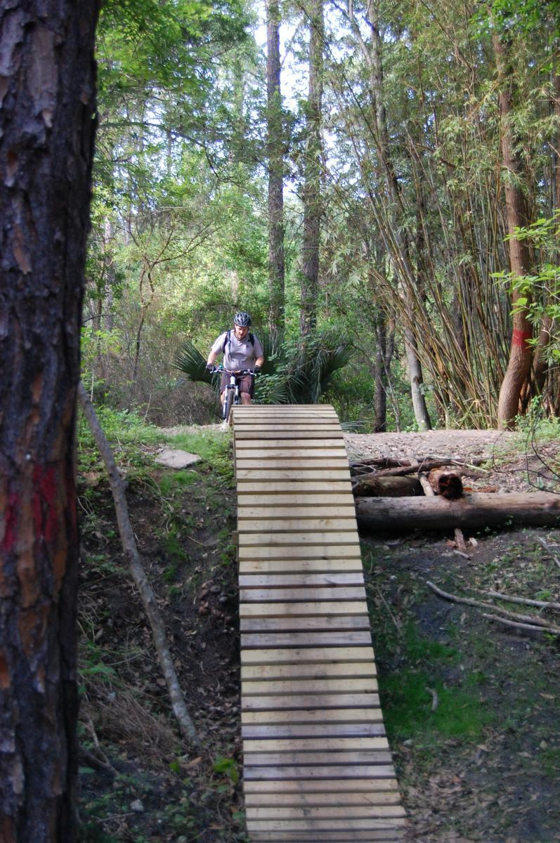 A mountain biker descending a wooden ramp in a forested area, surrounded by greenery and trees. Tillie Fowler Regional Park mountain bike trail.