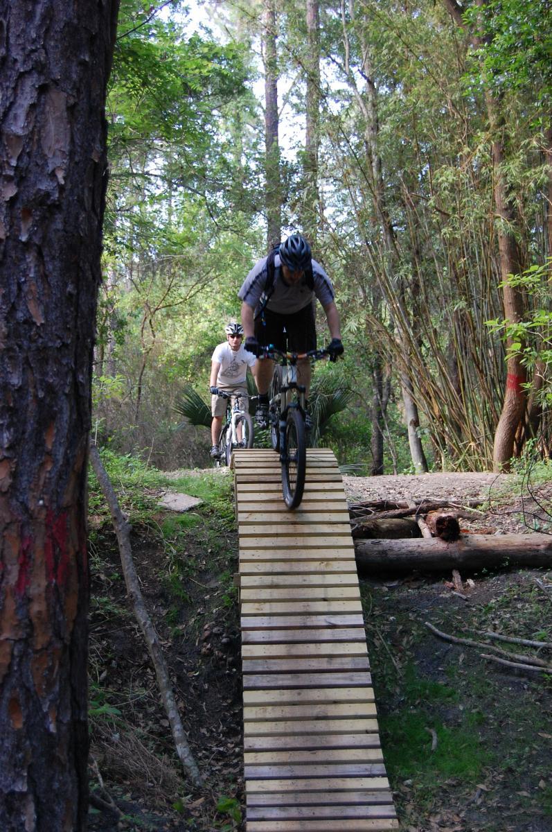 Two mountain bikers on a trail in a wooded area, one riding down a wooden ramp while the other follows on flat ground. The scene is surrounded by trees and greenery. Tillie Fowler Regional Park mountain bike trail.