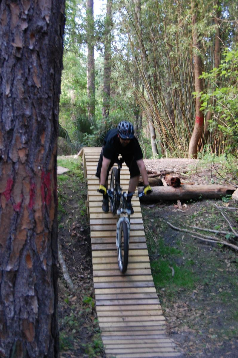 A mountain biker riding on a wooden ramp through a forested area, surrounded by trees and greenery. The rider is wearing a helmet and gloves, focusing on maintaining balance as they navigate the structure. Tillie Fowler Regional Park mountain bike trail.