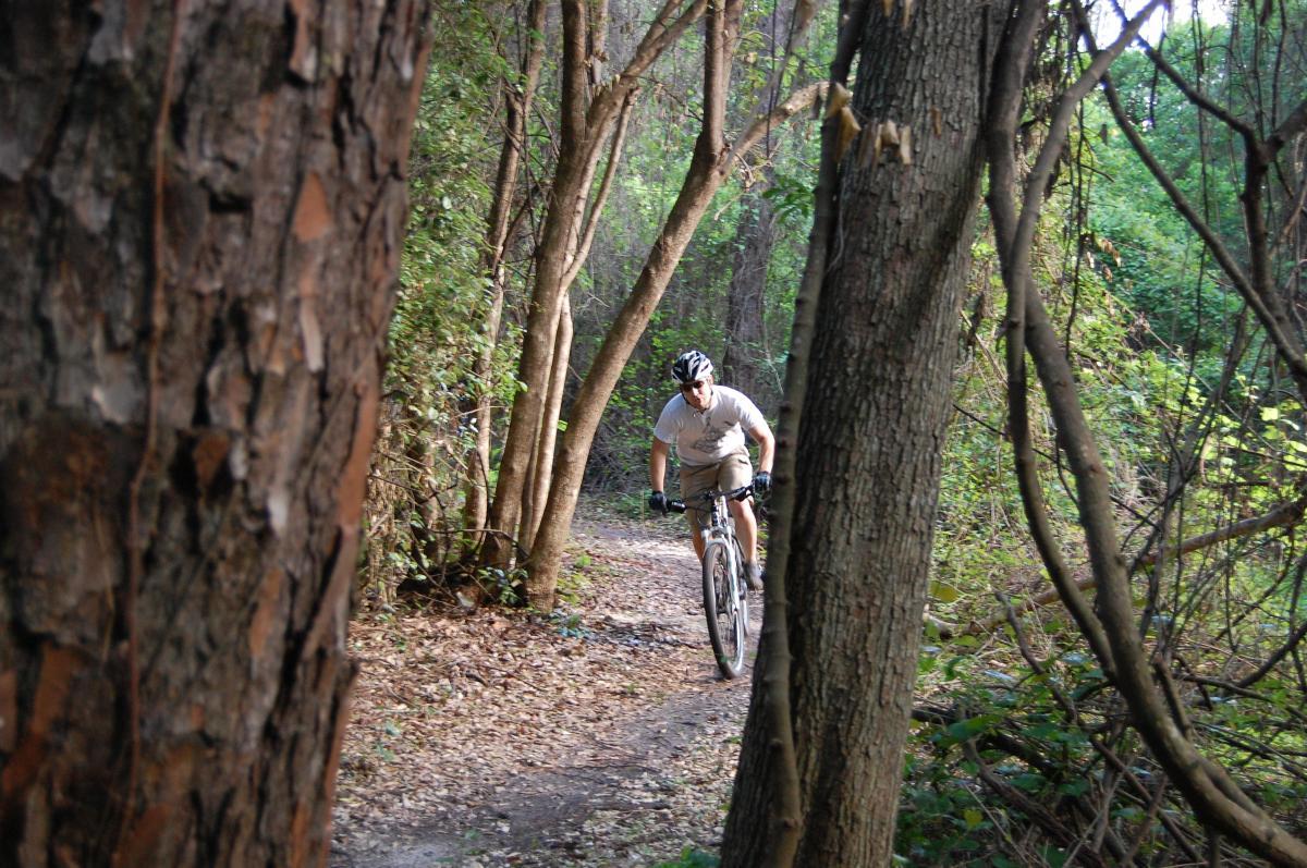 A mountain biker riding along a narrow dirt trail surrounded by trees and greenery, captured from a slightly elevated angle. The sunlight filters through the leaves, creating a serene outdoor atmosphere. Tillie Fowler Regional Park mountain bike trail.