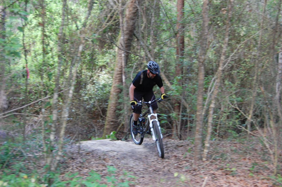 A mountain biker navigating a dirt trail through a dense forest, leaning forward on the bike as he tackles a small jump. The surroundings are lush with greenery, including trees and underbrush. Tillie Fowler Regional Park mountain bike trail.