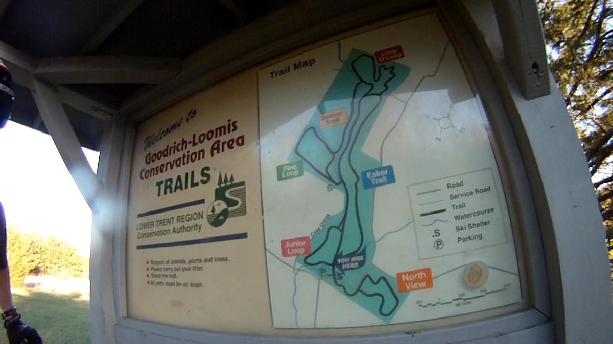A trail map at the Goodrich-Loomis Conservation Area, displaying various trails including the Junior Loop, Esker Trail, and Pine Loop. The map includes a legend indicating roads, trails, and parking, along with the "You Are Here" marker. The sign also features guidelines for visitors and is situated under a shelter surrounded by trees. Goodrich-Loomis mountain bike trail.