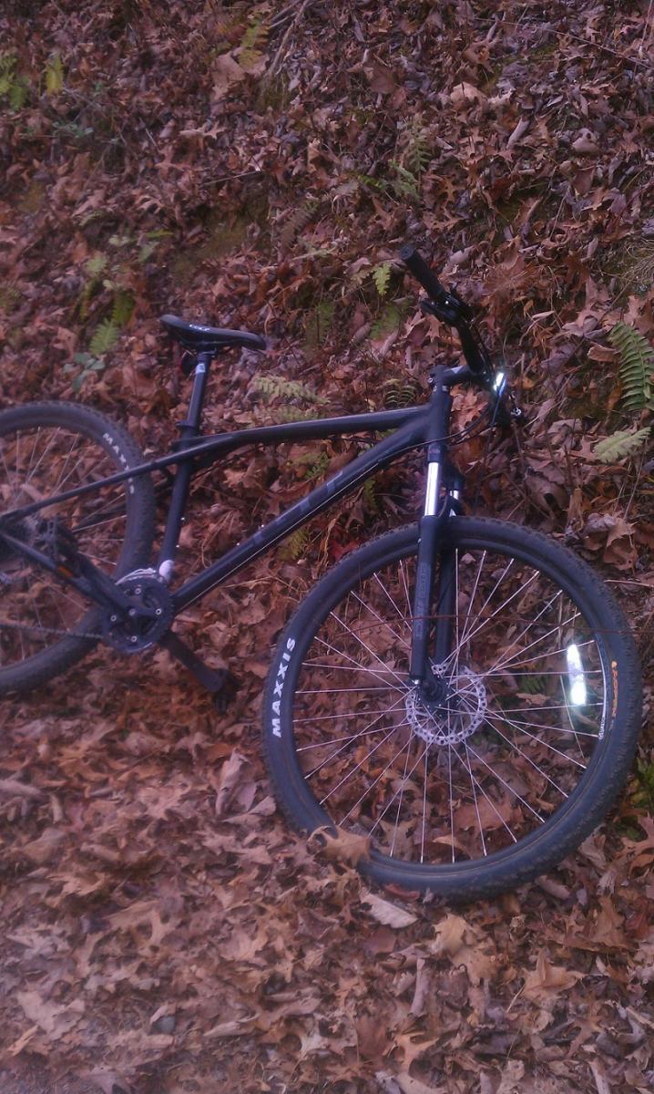 GT Karakoram: A black mountain bike resting on a bed of fallen leaves and ferns, set against a natural background.