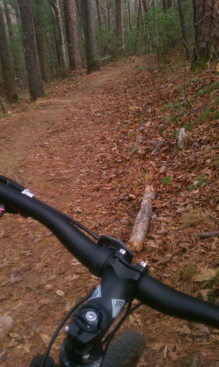 GT Karakoram: A view from the handlebars of a mountain bike on a dirt trail lined with fallen leaves, surrounded by trees in a forested area. A log is visible on the side of the path.