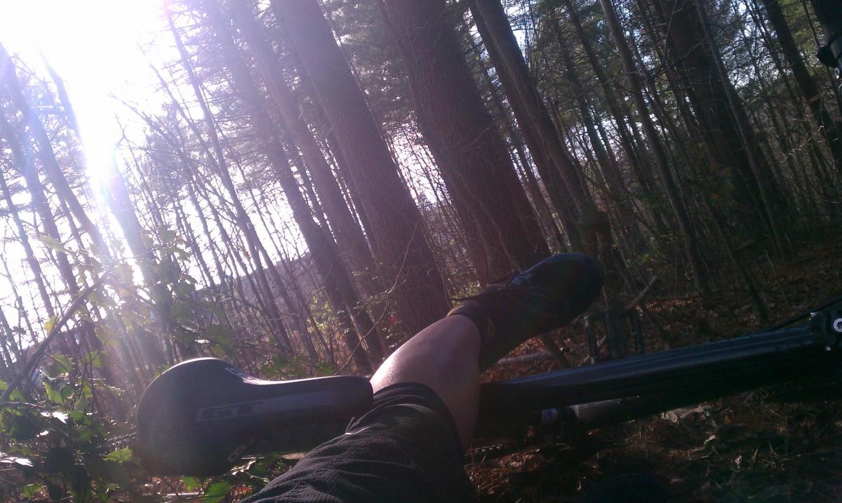 GT Karakoram: A close-up view of a person's leg resting on a bicycle seat in a wooded area, with sun rays shining through the trees in the background. The ground is covered with pine needles and leaves, indicating an outdoor setting.
